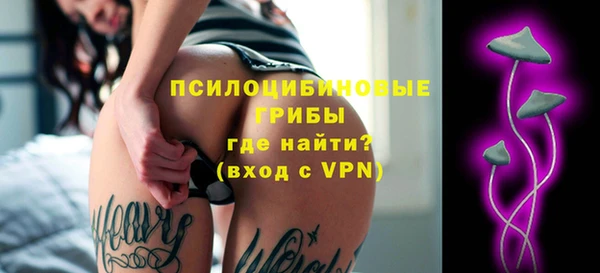 тгк Белокуриха