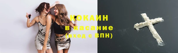 тгк Белокуриха