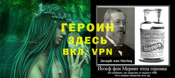 гашик Семилуки