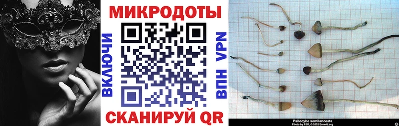 Псилоцибиновые грибы Magic Shrooms  hydra   Верхняя Пышма  наркошоп 